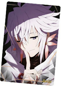 yNo.07 }[ (LN^[J[hA) z Fate/Grand Order ΖborjA EGn[X