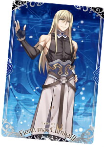 y6.T[/tBE}bN[ (N m[}) z Fate/Grand Order EGn[X8