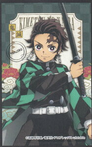 y}YY(c)z Sł̐n fRXebJ[