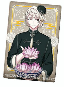 yNo.31 g (LN^[J[h/CHAINANA TOWN) z AChbVZu EGn[X14