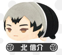 楽天市場】ハイキュー 北 マスコットの通販