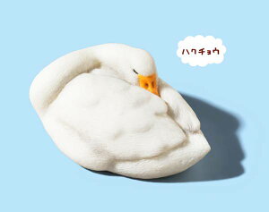 ynN`Ez p_̌ ZOO ZOO ZOO ܂邭Q