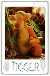 yF.eBK[z ܂̃v[ [r[V[Xibv}ChRNV