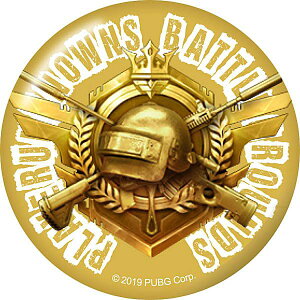 yXyciYwbg(Lv3)×M416×AWMz PlayerUnknownfs Battlegrounds PUBG ʃobW