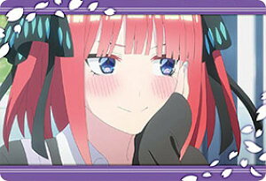 y1-17 Tz ܓ̉ԉŁ ^J[hRNV