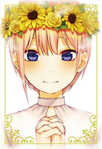 y1-21 ԁz ܓ̉ԉŁ ^J[hRNV