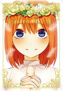 y1-24 ltz ܓ̉ԉŁ ^J[hRNV