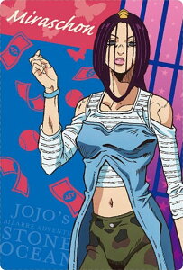 yNo.10 ~V (LN^[J[h) z WW̊Ȗ` Xg[I[V EGn[X