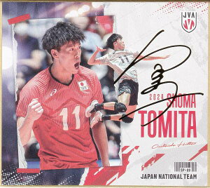 y[TC] SP-08 xc n (XyV) z o[{[jq{\2024 g[fBOminiF