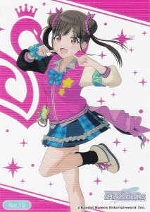 yNo.10 cqqz uV[hg[fBOJ[h RNVNA Aj ACh}X^[ VCj[J[Y