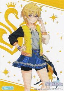 yNo.11 z uV[hg[fBOJ[h RNVNA Aj ACh}X^[ VCj[J[Y