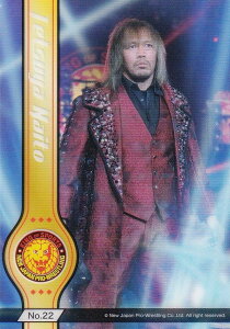 yNo.22 Nz uV[hg[fBOJ[h RNVNA V{vX