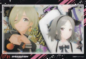 yNo.21 CV˒qpz uV[h g[fBOJ[h RNVNA K[YohNC