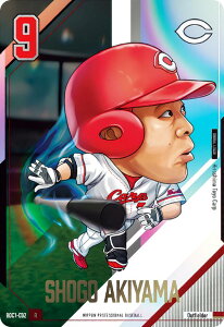 yBDC1-C02 HR@Č (R A) z v싅ftHJ[hRNV2024 ̎ J[ĥ