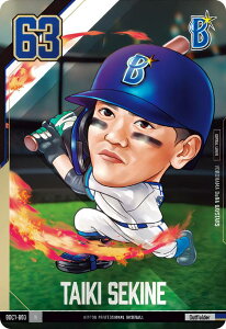 yBDC1-B03 ֍@C (N m[}) z v싅ftHJ[hRNV2024 ̎ J[ĥ