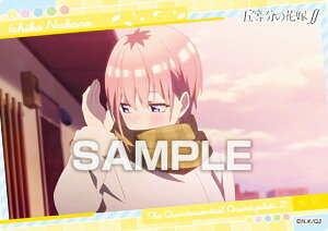 yNo.57  (V[Jbg) z f ܓ̉ԉ NAJ[hRNVK2