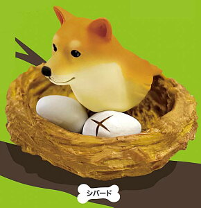 yVo?hz CkgƑ ~jtBMARNV