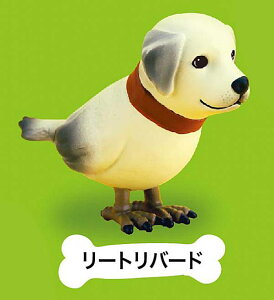 y[go[hz CkgƑ ~jtBMARNV