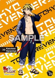 yNo.22 H{Ձz xW[Y NAJ[hRNVK (K)