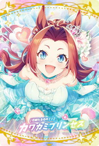 yW2-23 [ԉł́II] JJ~vZX (T|[gJ[hSSR) z E} veB[_[r[ cCEGn[X 2R