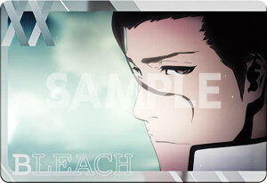 y25 OPJ[h(3) (OPJ[h) z BLEACH Nу^J[hRNV2