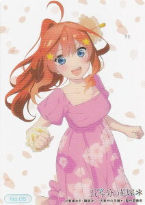 yNo.05 ܌z uV[h g[fBOJ[h RNVNA ܓ̉ԉ*