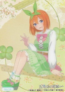 yNo.14 ltz uV[h g[fBOJ[h RNVNA ܓ̉ԉ*