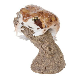 【アメフクラガエル】 いきもの大図鑑 指まきコレクション ツノガエルとアメフクラガエルとバジェットガエル