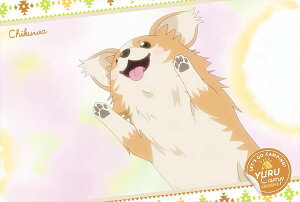 y10  (LN^[J[hN) z L SEASON3 EGn[X