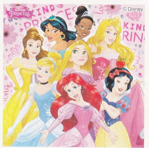 yNo.100 vZX(W)z fBYj[vZX LLV[RNV2