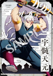 yFV Bz Sł̐n NArWA|X^[`` A5TCY