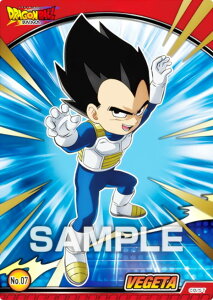 yNo.07 xW[^z hS{[ DAIMA NAJ[hRNVK J[ĥ