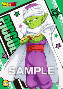 yNo.09 sbRz hS{[ DAIMA NAJ[hRNVK J[ĥ