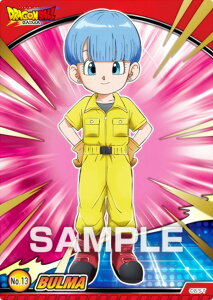 yNo.13 u}z hS{[ DAIMA NAJ[hRNVK J[ĥ