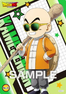 yNo.20 Tlz hS{[ DAIMA NAJ[hRNVK J[ĥ