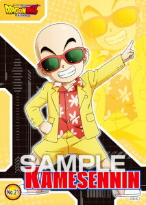 yNo.21 Tlz hS{[ DAIMA NAJ[hRNVK J[ĥ