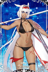 y04 C_[ JCjX (N m[}) z Fate/Grand OrderEGn[X11