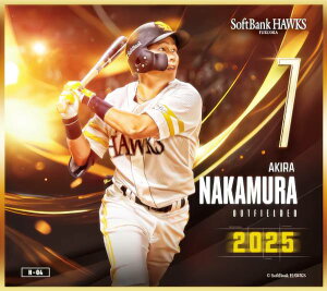 yN-04 W (m[}miniF) z \tgoNz[NX`2025` g[fBO~jF