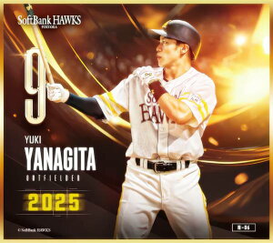 yN-06 cI (m[}miniF) z \tgoNz[NX`2025` g[fBO~jF