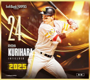 yN-10 I˖ (m[}miniF) z \tgoNz[NX`2025` g[fBO~jF