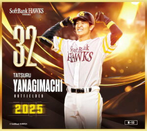 yN-13 B (m[}miniF) z \tgoNz[NX`2025` g[fBO~jF