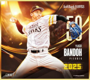 yN-14 N (m[}miniF) z \tgoNz[NX`2025` g[fBO~jF