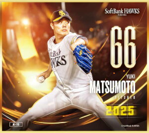 yN-15 {T (m[}miniF) z \tgoNz[NX`2025` g[fBO~jF