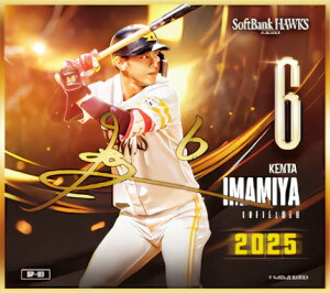 y[TC] SP-03 { (XyVminiF) z \tgoNz[NX`2025` g[fBO~jF