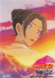 yNo.05 ㌴R߁z uV[h g[fBOJ[h RNVNA  TRi Ǌ̎c