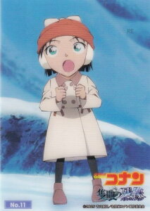 yNo.11 gcz uV[h g[fBOJ[h RNVNA  TRi Ǌ̎c