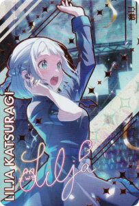 y[zOdl] 郊[() (V[Nbg) z J[h_X CarddassS{ wACh}X^[