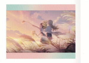 y36 JbgV[ (m[}) z wACh}X^[ ςႱ