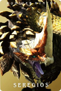 y29 ZMIX (X^[J[h) z X^[n^[ 20th Anniversary J[hEGn[X