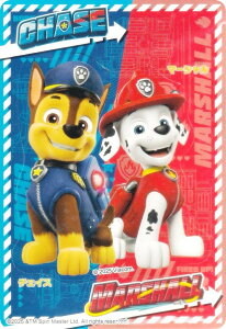 y`FCX}[V/c^ (LLo[W) z pEEpg[ V[O~2 V[1̂